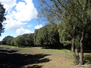 sco di Centorbi-18-10-2020 12